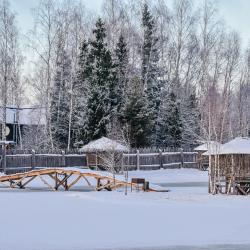 Фото Отель Гостевой дом Окулова Заимка