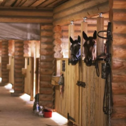 Фото Отель Дункан