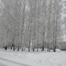 Фото Отель Гостевой дом Брейтово