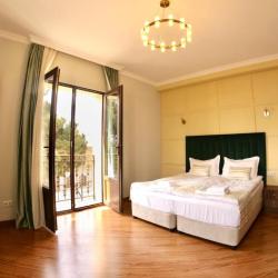 Фото Отель Phazisi Hotel (Фазиси)