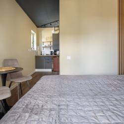 1-комнатные апартаменты студия Turgenev apartments