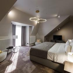 2-местный номер люкс семейный (мансарда)