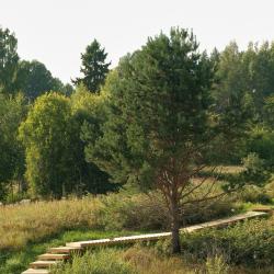 Фото Отель Marmar (Мармар)