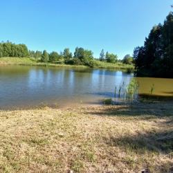 Фото поле-отель