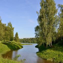 Фото Отель Демино