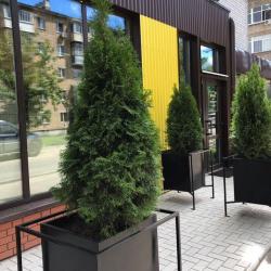 Фото Лимон апарт-отель