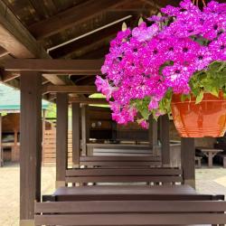 Фото Отель Вертикаль