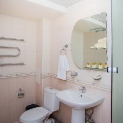 Номер полулюкс с 1 двуспальной кроватью