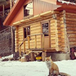 Фото Отель Таурух Азау