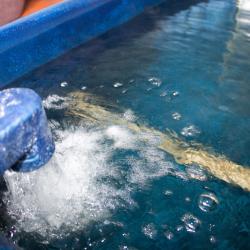 Фото Отель Урсдон