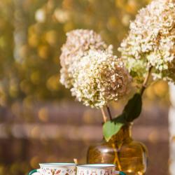 Коттедж стандарт Слизерин