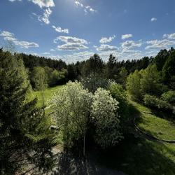 Фото Отель Аура Урала