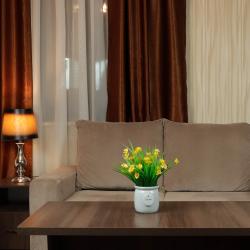 Номер делюкс с 1 двуспальной кроватью