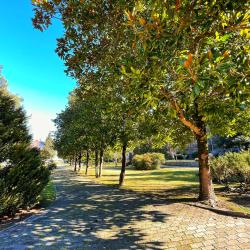 Фото Отель Сеть апартаментов Goodwill