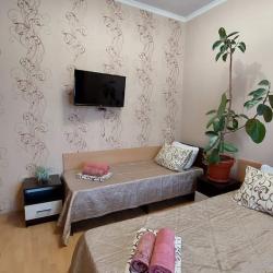 Комната стандарт с 1 односпальной и 1 двуспальной кроватью