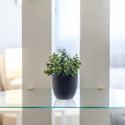 Фото Отель RentPlaza (РентПлаза) на улице 5 просека 99А