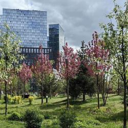 Фото Апартаменты на Шелепихинской набережной, 34к5