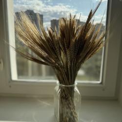 Фото Апартаменты на улице Родионова 180