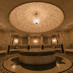 Фото Отель Wellness Hotel and Spa (Велнесс)