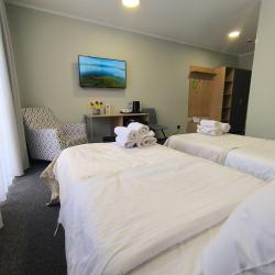 Номер делюкс с 2 односпальными кроватями