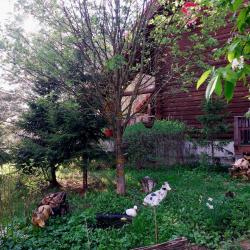 Фото Отель Шале Охотника