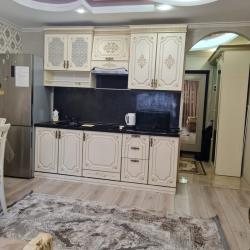 1-комнатные апартаменты студия