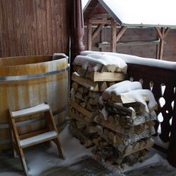 Фото Отель Дом Ополье