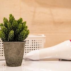 Фото Отель Romlex Apartments (Ромлекс) на улице Вице-адмирала Воронцова