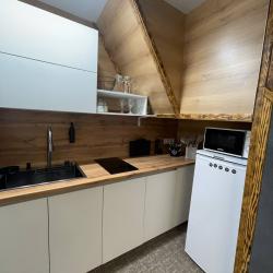 2-комнатные апартаменты люкс (мансарда)