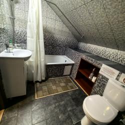 Фото Отель Гостевой дом Пчелка