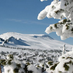 Фото Отель Тирольский