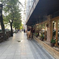 Фото Апартаменты Светланский дворик