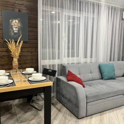 Современные , уютные апартаменты — af5656ea4e339b94c172ed8358420d3f