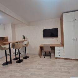 1-комнатные апартаменты студия