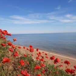 Фото Отель Гостевой дом Морская 51