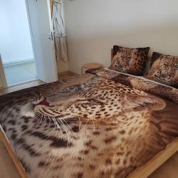 Фото Отель Кинтереп