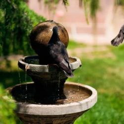 Фото Отель Адмирал