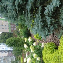 1-комнатные апартаменты улучшенные №2