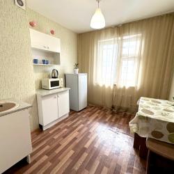 Фото Апартаменты на улице Киренского 35