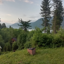 Фото Отель Кедровый берег
