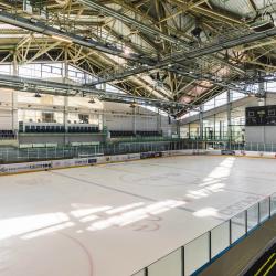 Фото Отель Игора