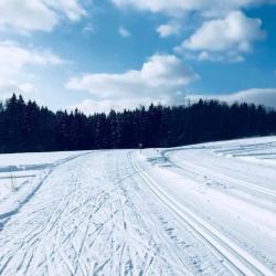 Фото Отель Скоково Парк