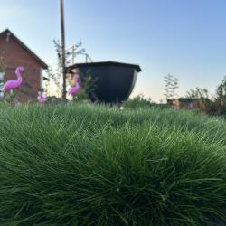 Фото Отель Фазенда