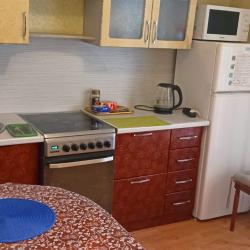 Фото Апартаменты на улице Курыжова 19