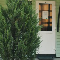 Фото Отель Зеленый остров