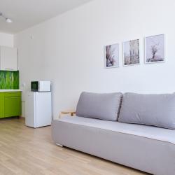 1-комнатные апартаменты улучшенные ЕКатеринбург ул. Доржная 18