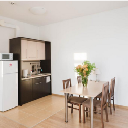 Фото Отель Альфа Сириус Прибрежный квартал