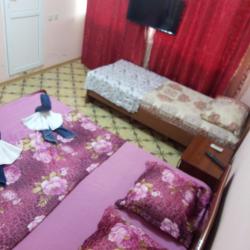 Фото Отель Гостишка