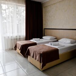 Комната люкс с 2 односпальными кроватями