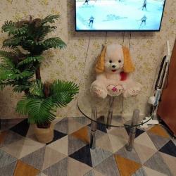 Фото Апартаменты на улице Воровского 3